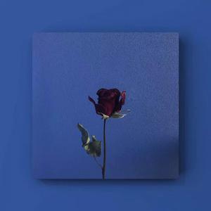 日本视频特黄AAA
