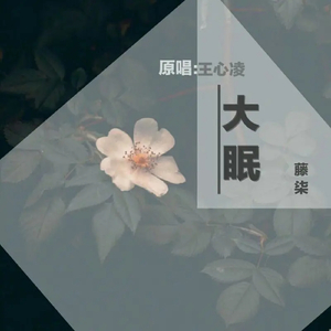 日本视频特黄AAA
