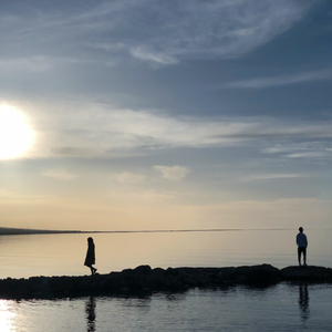 日本视频特黄AAA
