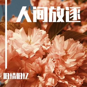 日本视频特黄AAA
