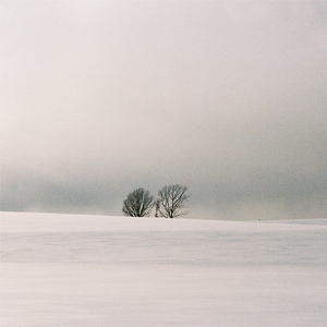 日本视频特黄AAA
